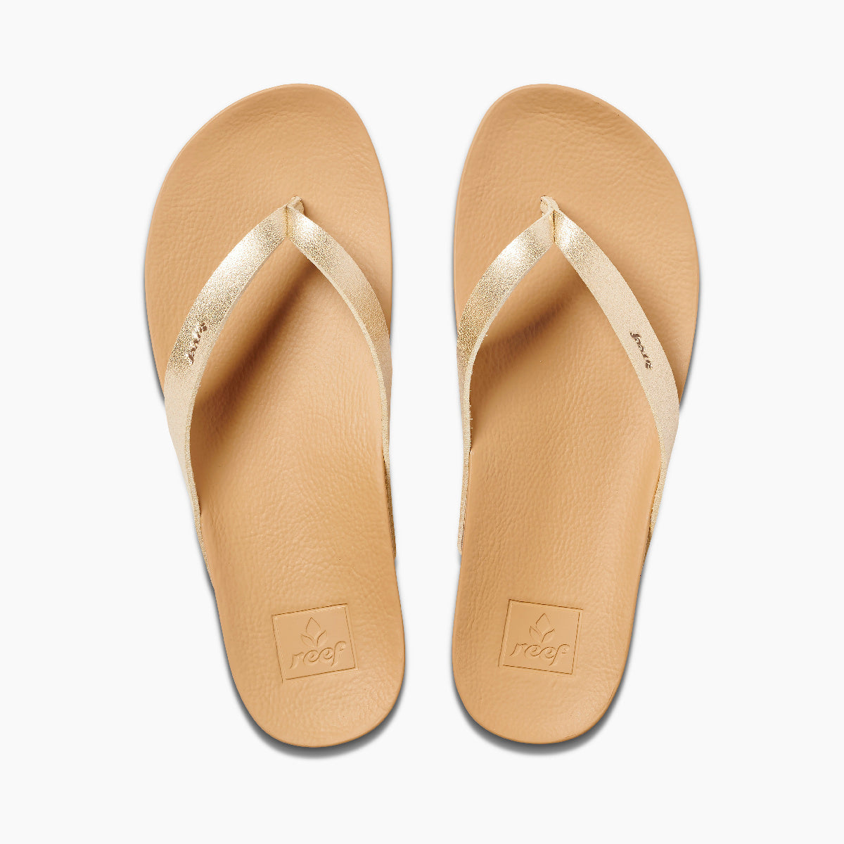 Reef Womens Sandals | Cushion Court