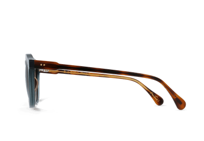 REMMY-Cirus / Vibrant Brown Polarized